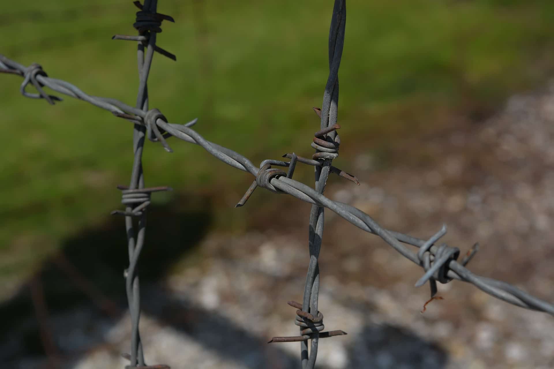 Vernosť Jehovových svedkov v koncentračných táboroch – dôkaz pravosti náboženstva?